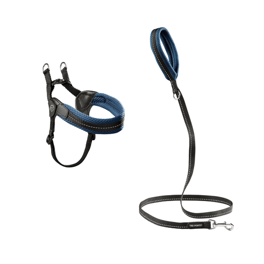 SET Easy Fit Sottopancia Regolabile Mesh