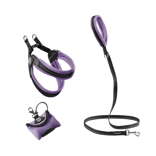 SET Easy Fit Click Mesh