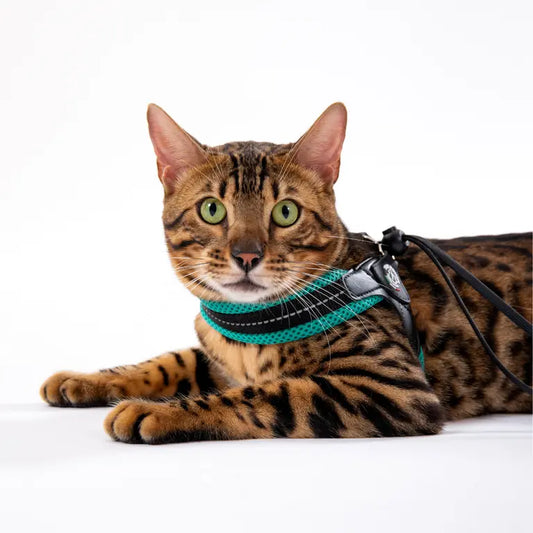 Easy Fit Adjustable Strap Mesh - Tre Ponti