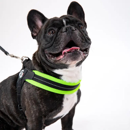 SET Easy Fit Adjustable Girth Mesh - Tre Ponti