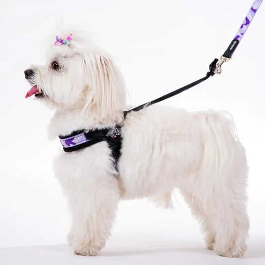 Easy Fit Adjustable Strap Penny Mesh - Tre Ponti