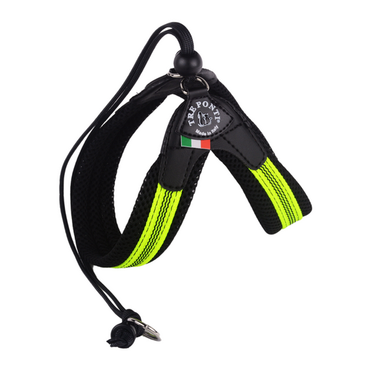 Easy Fit Adjustable Strap Fluo Pop