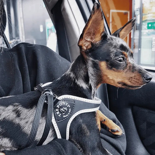 Easy Fit Adjustable Strap Original - Tre Ponti