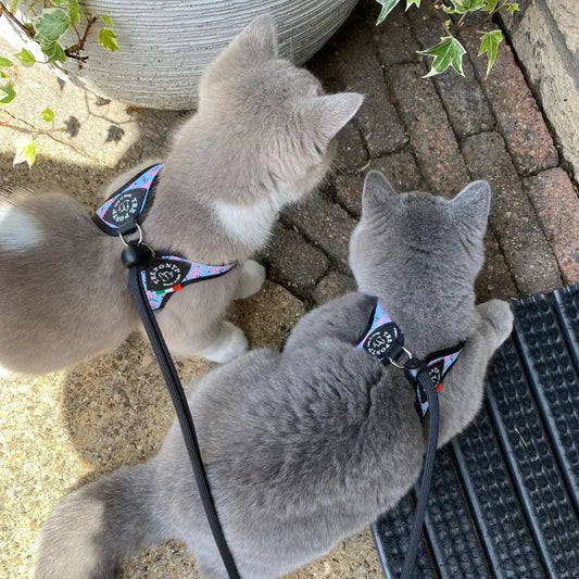 Easy Fit Adjustable Strap Vibes Tre Ponti