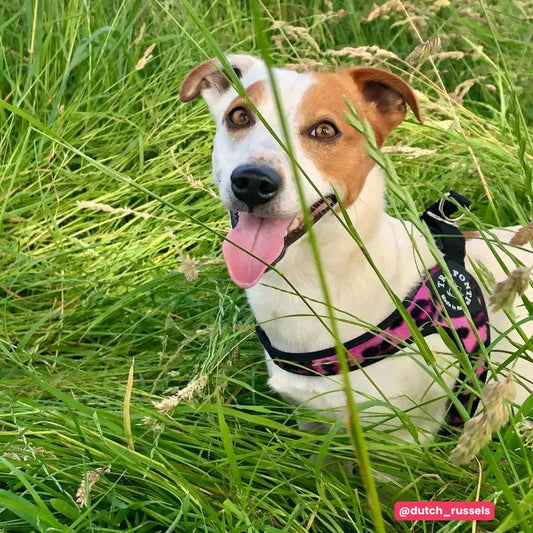 Easy Fit Click Savannah Tre Ponti