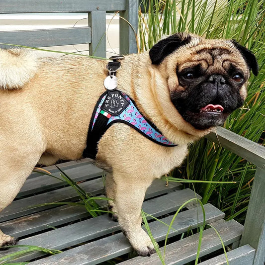 Easy Fit Adjustable Girth Vibes - Tre Ponti