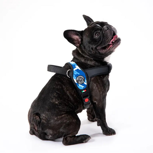 SET Primo - Tre Ponti