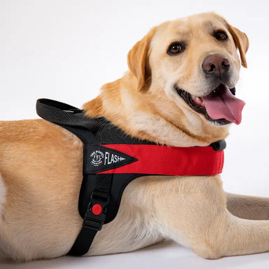 Flash Velcro® - Tre Ponti