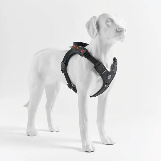 SET Harmonia - Tre Ponti