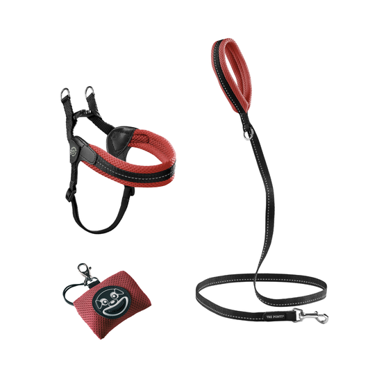 SET Easy Fit Adjustable Girth Mesh