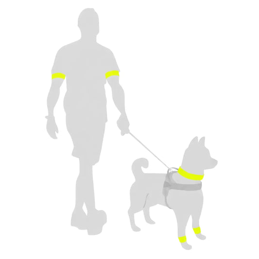 Visibility - Tre Ponti