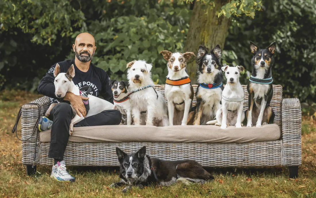 Adrian Stoica x Tre Ponti Tre Ponti