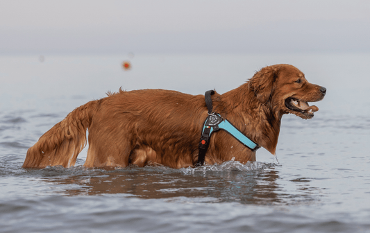 How to wash a Tre Ponti product?