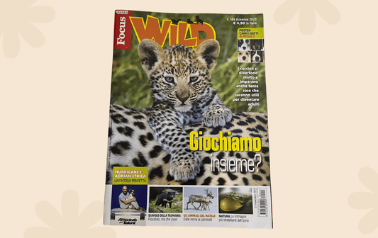 Adrian Stoica on Focus Wild