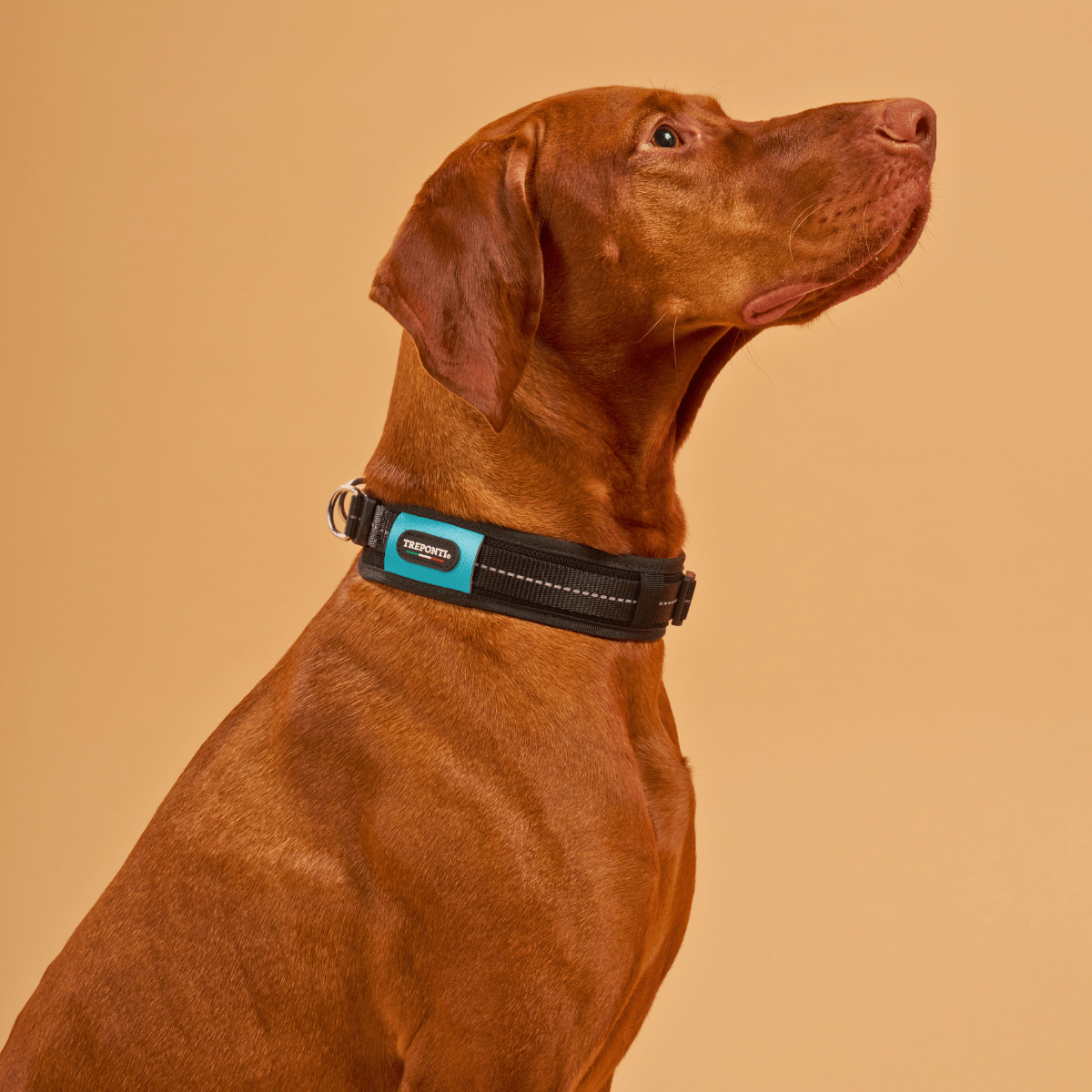Dog-Collar Tre Ponti