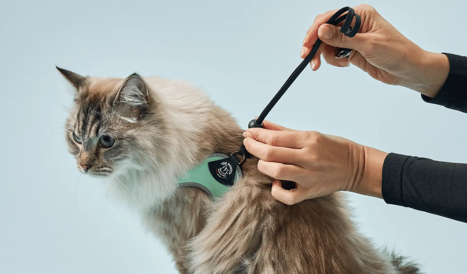 Cat-harnesses Tre Ponti