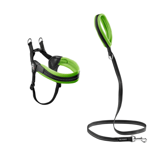 SET Easy Fit Sottopancia Regolabile Mesh