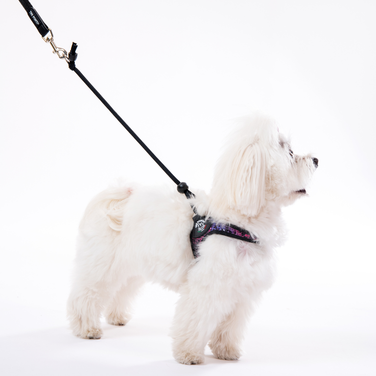 Easy Fit Adjustable Strap Savannah