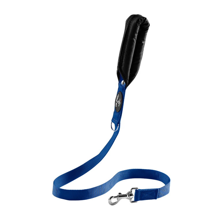 One-Handle Leash
