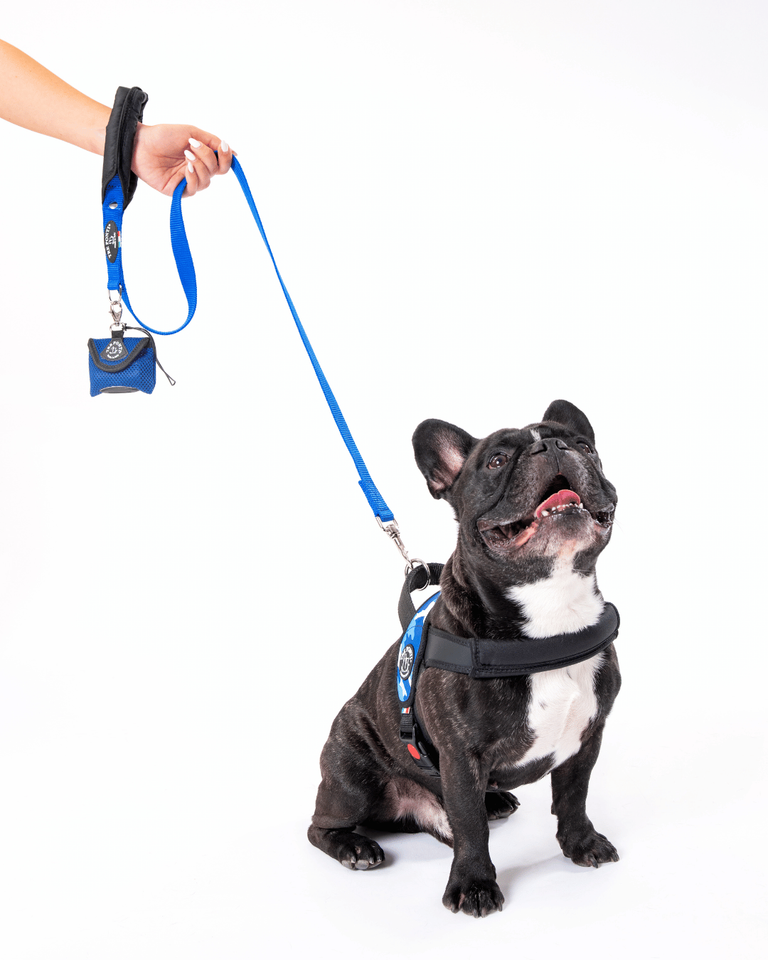 One-Handle Leash