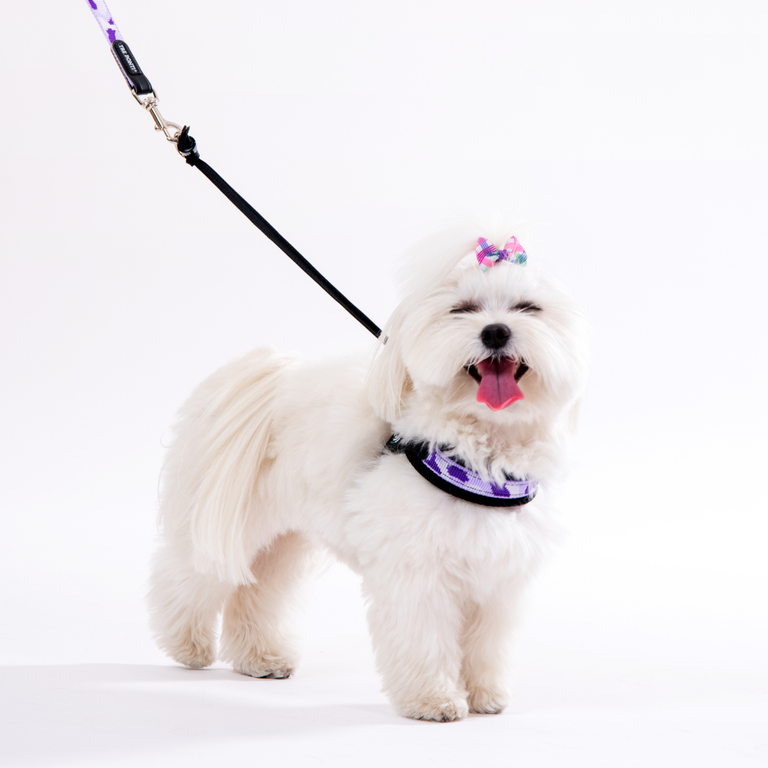 Easy Fit Adjustable Strap Penny Mesh