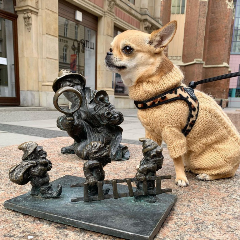 Easy Fit Adjustable Strap Savannah