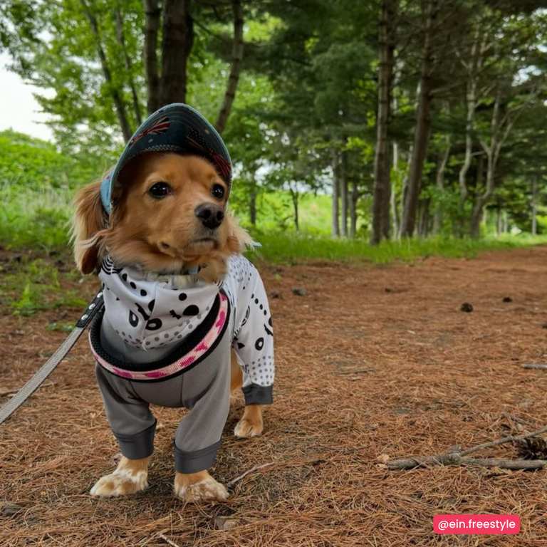 Easy Fit Click Penny Mesh