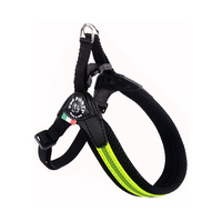 Easy Fit Adjustable Girth Fluo Pop