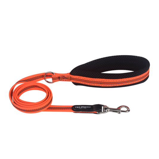 Fluo Pop leash