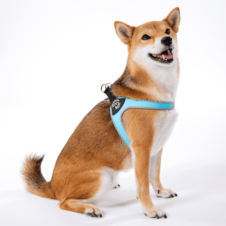 Easy Fit Click Original