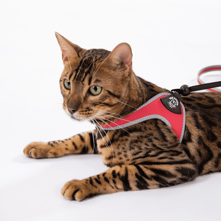 Easy Fit Adjustable Strap Original