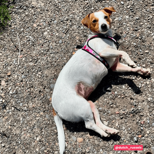 Easy Fit Click Camouflage