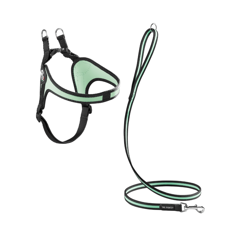 SET Easy Fit Adjustable Girth Original