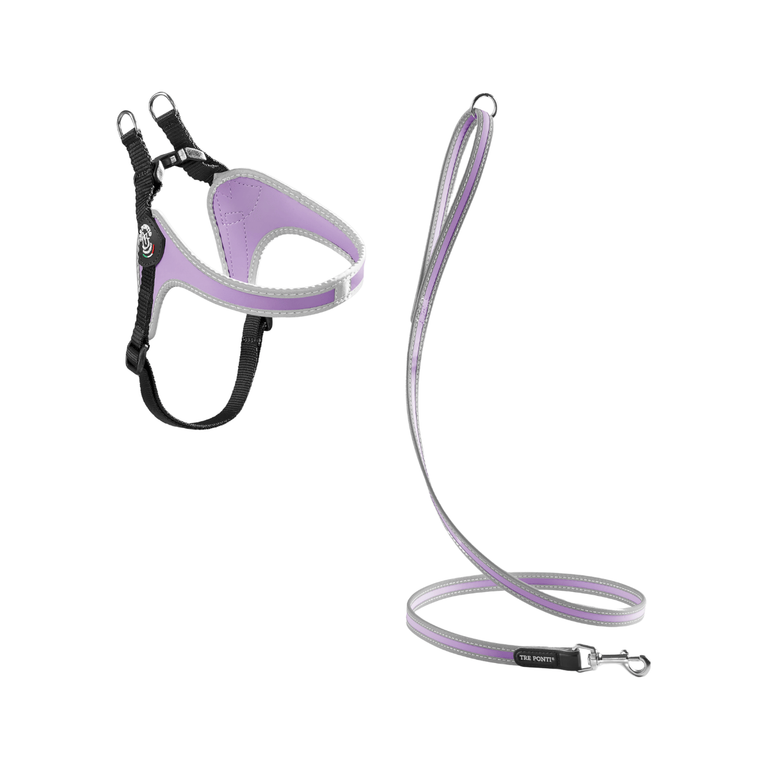 SET Easy Fit Adjustable Girth Original