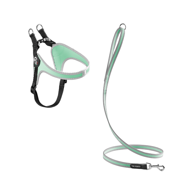 SET Easy Fit Adjustable Girth Original