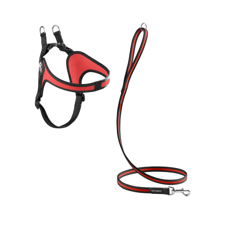 SET Easy Fit Adjustable Girth Original