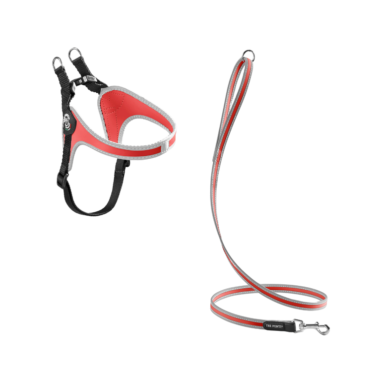 SET Easy Fit Adjustable Girth Original