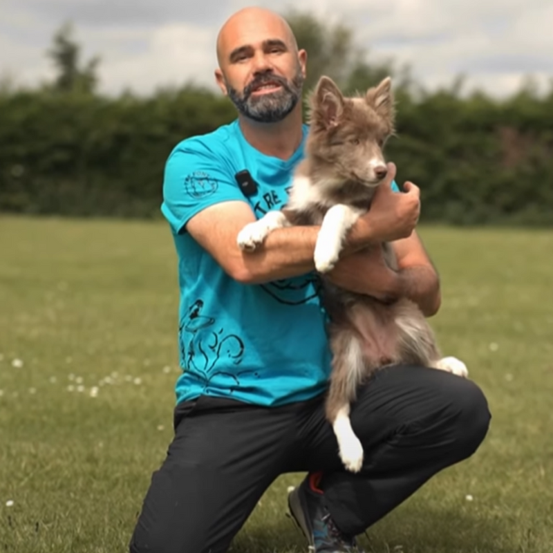 Play with Diva and the frisbee🥏