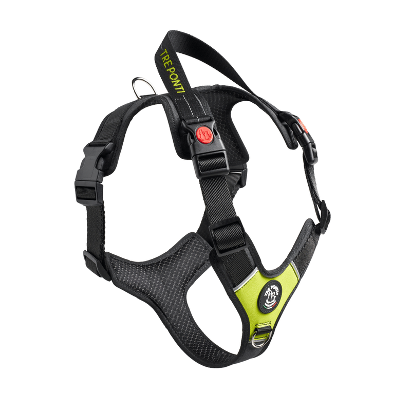 Pettorine di media e grossa taglia