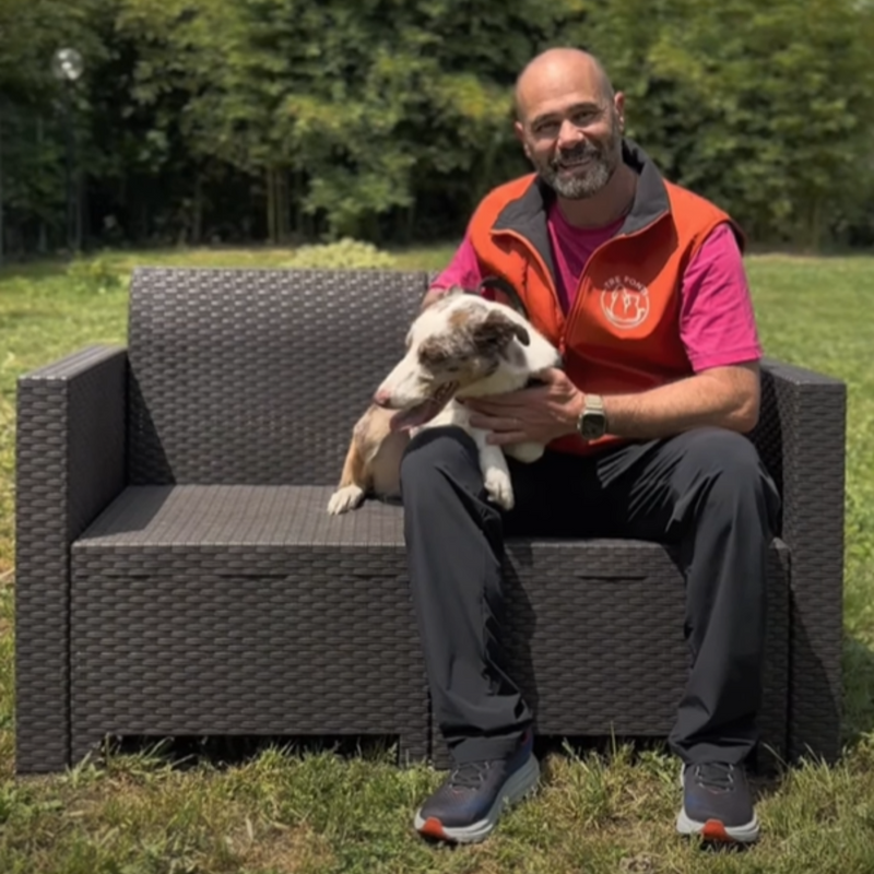 Play capture the flag with Iris🐶