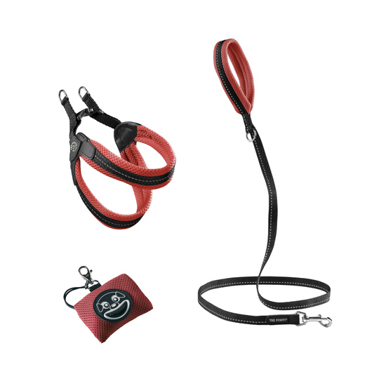 SET Easy Fit Click Mesh