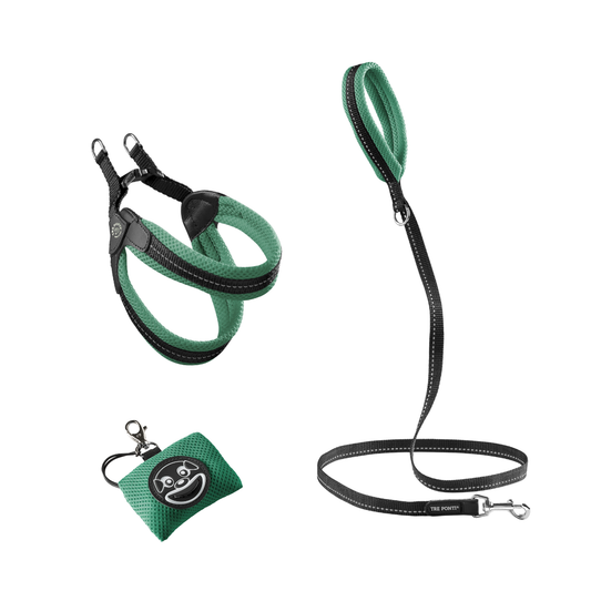 SET Easy Fit Click Mesh